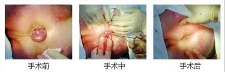 在线咨询